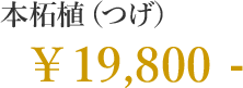 本柘植（つげ） 19,800円