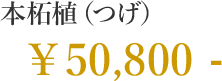 本柘植（つげ） 50,800円